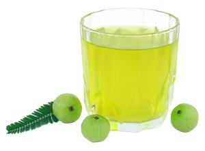 QUANTITÉ EN VRAC DE JUS D'AMLA SEC BIOLOGIQUE MEILLEUR PRIX DE GROS - Product Image 2