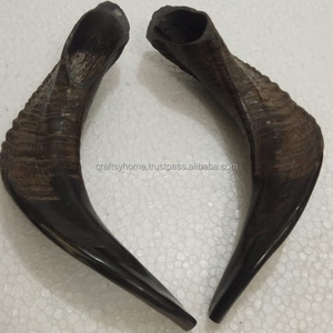Kosher Shofar-claxon de Ram Natural, instrumento Musical pulido Natural usado para propósitos religiosos, por craftssy Home, venta al por mayor - Product Image 5
