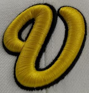 Nouvelle Arrivée : Patch Brodé Carré en Chenille, Design Personnalisé, Écologique pour Chapeaux, Vêtements et Accessoires d'Extérieur - Product Image 3
