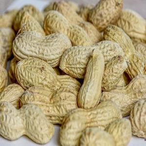 Nueces de Cacahuete Secas de Origen Puro, 100% Orgánicas, Crudas, Origen Reino Unido, Alto Contenido de Proteínas, 25 kg, Envasadas al Vacío - Product Image 2