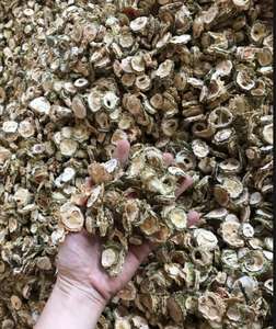 แตงขมอบแห้งราคาถูกผลิตในเวียดนาม - Product Image 1