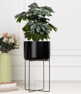 Support de plante en métal noir de luxe, pot de fleurs moderne d'intérieur avec support en fer haut, porte-plante décoratif pour la maison, le bureau, le salon - Product Image 1