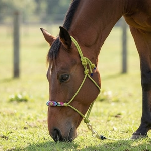 Cabestro de Cuerda Verde para Caballo |   Cuerda de poliéster resistente a la intemperie con nudo Fiador, tejida a mano y con diseño, para entrenamiento ecuestre. - Product Image 2