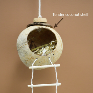 Nichoir pour oiseaux en coquille de noix de coco fait à la main, à suspendre au mur, rond, décoration de maison DIY, marque KOTTRAVAI, du Tamil Nadu - Product Image 1