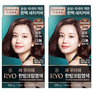 120 กรัม*2 ชิ้น ริโอ ยูอาเช่ สไตลิช เกรย์ ฟิช ครีม คอฟฟี่ บราวน์ 6C โฟมเปลี่ยนสีผมชั่วคราว 120 กรัม*2 แพ็ค สำหรับทุกสภาพเส้นผม - Product Image 1