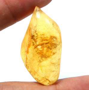 Cabochon lisse en ambre naturel de la Baltique avec insectes inclus, pierre précieuse en ambre en vrac - Product Image 1