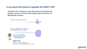 Laurimino bispropanediol mỹ phẩm đại lý chất bảo quản và surfactant cho chăm sóc cá nhân và làm sạch xây dựng được thực hiện tại Hàn Quốc - Product Image 3
