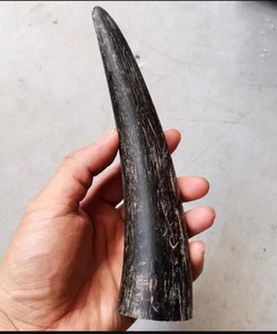 Cuerno de Búfalo Natural Ecológico con Punta Pulida, Diseño Rústico Moderno, Alta Calidad, Negro - Product Image 6