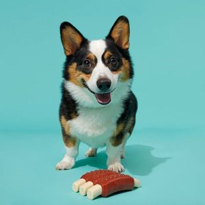 Jouet à mâcher Super Chewer Wreck of Ribs pour chiens - Product Image 2