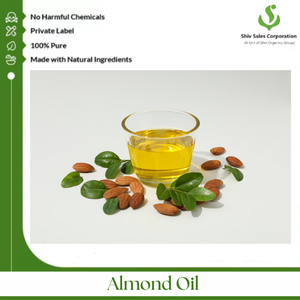 Good Quality <b>Bulk</b> Selling Halal Certified <b>Sweet</b> Almond Cold Pressed Oil Available at Best <b>Bulk</b> Price From Exporter - Product Image 5