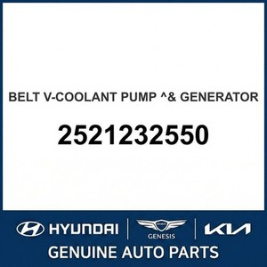 Repuestos y Accesorios para Autos y Camionetas Sonata Nuevos 2521232550 - Product Image 1