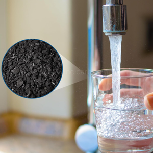 1000 Mg/g Coconut Shell Activated Carbon 8x16/6x12 Mesh 99% Purity Factory Supply 20*40mesh Coconut Shell Based Granular - Product Image 2