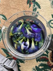 Premium Dried Butterfly Pea Flowers Natural Blue Petals For <b>Tea</b> Blending Beverage Craft Bulk Wholesale Vietnam Supply Chain - Product Image 3