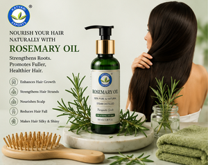 Huile essentielle de romarin certifiée ISO 1 KG, pure et naturelle, Rosmarinus Officinalis, huile végétale pour les soins de la peau et la croissance des cheveux - Origine Inde - Product Image 4