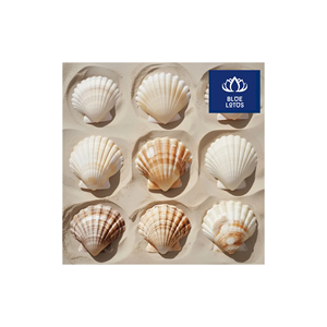 Qualité Fiable, Sûr et Écologique : Coquillages Purs de Mer, Idéaux pour le Remplissage d'Aquariums et la Fabrication de Bougies – En Promotion - Product Image 1