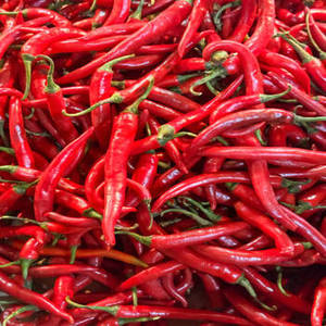 Chile Rojo Entero Seco al Sol Natural de la India (FitTree International, Origen Gujarat) para Aplicaciones Alimentarias, 24 Meses - Product Image 6