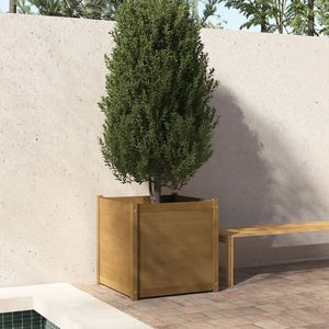 Grandes jardinières et pots de fleurs en pin massif brun miel, durables - Product Image 1