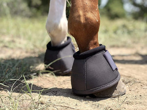 Horse Bell Boots Custom Logo Customized Color 100% High Quality Polyester Cotton Horse <b>Shoes</b> - Product Image 5
