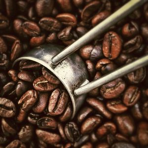 Premium Dried Coffee <b>Beans</b> Robusta Coffee Freshly Roasted Selection Vacuum Packed For Wholesale Import Orders And Bulk Supply - Product Image 2