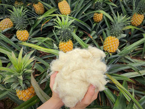 Fibre de feuille d'ananas de premier choix pour les applications textiles et vestimentaires - Product Image 4