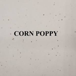 Boxit.pk Papier à graines fait main A4 120 GSM, papier à graines biodégradable pour l'impression de cartes, solutions d'emballage écologiques plantables - Product Image 2