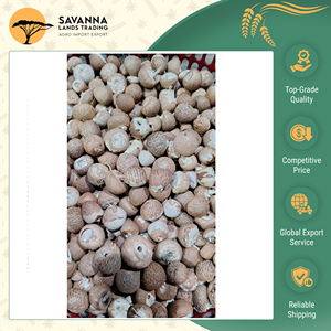 Vendita Esclusiva di Noci di <span class=keywords><strong>Betel</strong></span> di Alta Qualità, Sfilettate e Tagliate, Disponibili in Grandi Quantità per Uso Alimentare e Culturale - Product Image 3