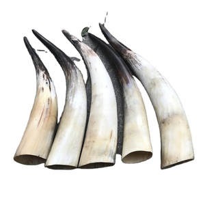 Corne décorative en forme de saucière, 1 pièce, tenue de table intérieur, corne de taureau monté, style marbré, Antique, offre spéciale - Product Image 1