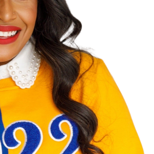 Sweat-shirt en chenille bicolore Sigma Gamma Rho 1922 pour femme, bleu et or, mélange de coton, manches longues, coupe élégante - Product Image 5