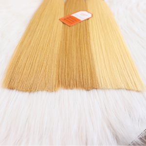 Ruban de luxe Ins extensions de cheveux humains vietnamiens de qualité supérieure en gros prix d'usine cuticule alignée - Product Image 2