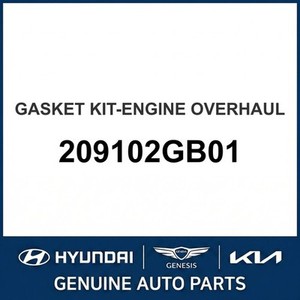 ซีลและปะเก็นโซนาต้าใหม่ 209102GB01 - Product Image 1
