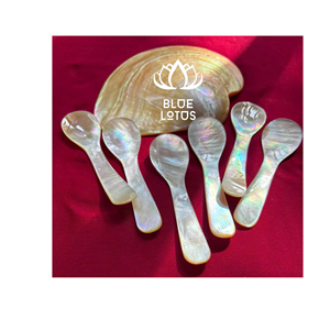 Cuchara de Nácar Ecológica, Segura y Limpia, Modelo 2026, Utensilio de Concha Pura, Ideal para Degustación de Postres y Servicio de Caviar, Precio Directo - Product Image 1