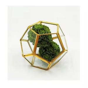 Elegante Terrario de Metal y Vidrio, Macetero Geométrico para Plantas de Interior, Decoración Moderna para Mesa de Hogar, Pieza Decorativa - Product Image 1