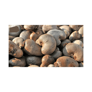 Noix de cajou brutes à livraison rapide, à rendement élevé en noyaux et au goût naturel - Product Image 1
