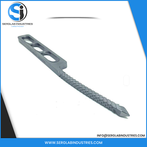 Hochwertige 240mm Edelstahl Orthopädische Raspel Manuelle Langknochenraspel Veterinär-Chirurgische Instrumente - Product Image 5