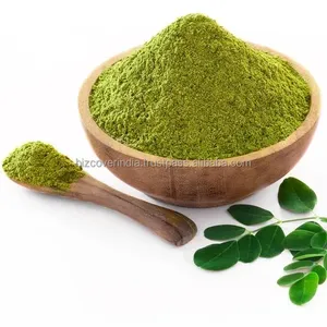 Bubuk <span class=keywords><strong>moringa</strong></span> organik berkualitas tinggi untuk manfaat kesehatan persediaan herbal murni dan Premium dari India dalam jumlah besar