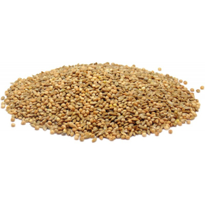 Graines de canaris en gros, approvisionnement en vrac disponible au prix direct usine - Product Image 3