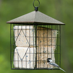 Cobalt Metal Mesh Mixed Seed and <b>Peanut</b> <b>Bird</b> <b>Feeder</b> Outdoor Garden Hanging <b>Feeder</b> - Product Image 6