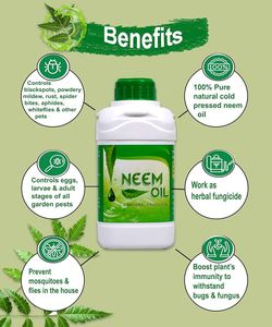 Aceite de Semilla de Neem Orgánico Natural para Control de Plagas, Precio al por Mayor, para Uso Agrícola, Apto para Todo Tipo de Piel - Product Image 5