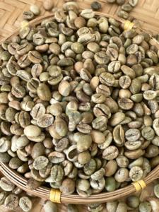 High Quality Vietnam Robusta Raw <b>Coffee</b> <b>Beans</b> Green <b>Coffee</b> <b>Beans</b> Bulk Supply Export Grade Unroasted <b>Coffee</b> <b>Beans</b> - Product Image 6