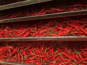 Chiles Secos en Hojuelas, Chiles Rojos Triturados, Chiles Secos Enteros, Condimento Picante para Uso en Alimentos a Granel - Product Image 2