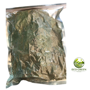 Feuilles de corossol séchées naturelles pour mélange de thé, ingrédient botanique de Graviola pour infusion à base de plantes, en vrac, OEM, usine du Vietnam - Product Image 2