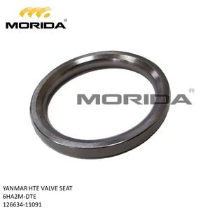 Asiento de Válvula EX 6HA2M-DTE HTE 126634-11091 para YANMAR - Product Image 4