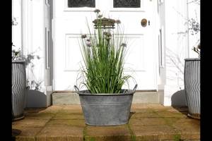 Pot de fleurs en métal rustique, design circulaire, finition durable pour une utilisation en jardin avec des plantes vertes - Product Image 3