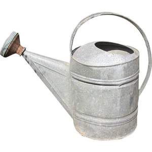 Arrosoir élégant en métal pour plantes d'intérieur et d'extérieur, pot à eau décoratif pour jardin avec poignée - Product Image 6