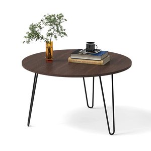 Mayrite Minimalist Design <b>Coffee</b> <b>Table</b>/ Centre <b>Table</b> with Decorative Feature - Product Image 6