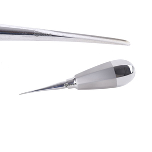 Professional Dental Extraction Instrument Dental Elevator Oral Care Surgical Instrument Straight tip, 1mm Dental <b>Tools</b> - Product Image 1
