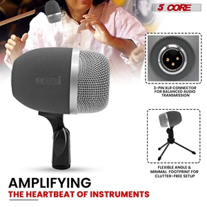 Ensemble de 5 microphones pour tabla, instrument indien, pour Bayan, Dayan, Dholak, pour studio, scène, temple - Product Image 2