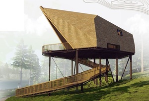 Serres préfabriquées en bois de 20 pieds et 40 pieds, design industriel moderne 100 % écologique, garantie 5 ans pour usage extérieur, hôtels - Product Image 6