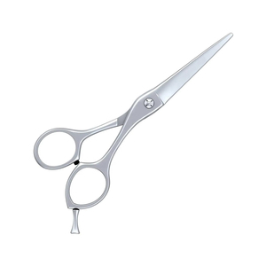 Ciseaux de Salon de Coiffure Haute Qualité Précision Design de Coupe Fournisseur en Gros ODM Nouvelle Arrivée 2026 - Product Image 1