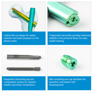 Clavo Intramedular Femoral Intertan con Tornillo de Compresión Integrado, Anti-Rotación, Aleación de Titanio, Sistema con Certificación CE - Product Image 2